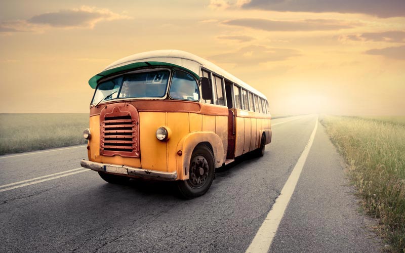 Vitae euismod nets rhoncus purus eget lorem porta