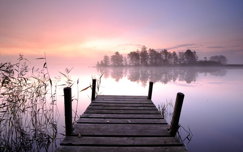 Lorem dipsum netsum sit dolor net ametis.